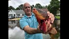 PHOTOS: Virginia Beach man catches fish from flooded street