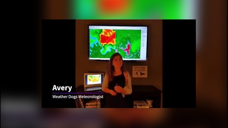 9-year-old girl stars in her own 'weather report' for school project in Virginia Beach