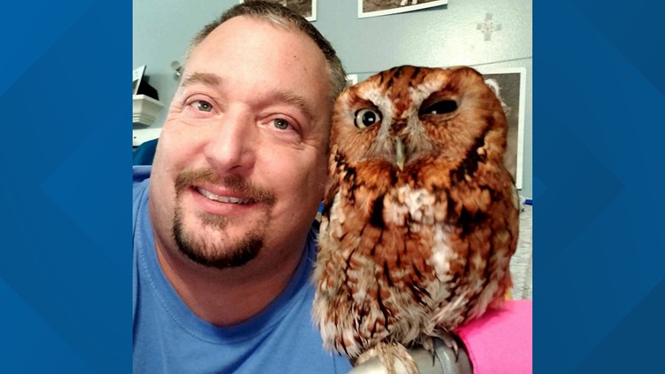 'Second chance at life' | Deputy rescues injured owl, nurses her back to health