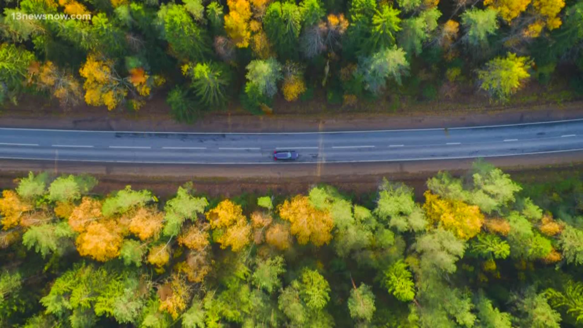 The bright colors that signal the cooler months are a chemical reaction to meteorological elements.