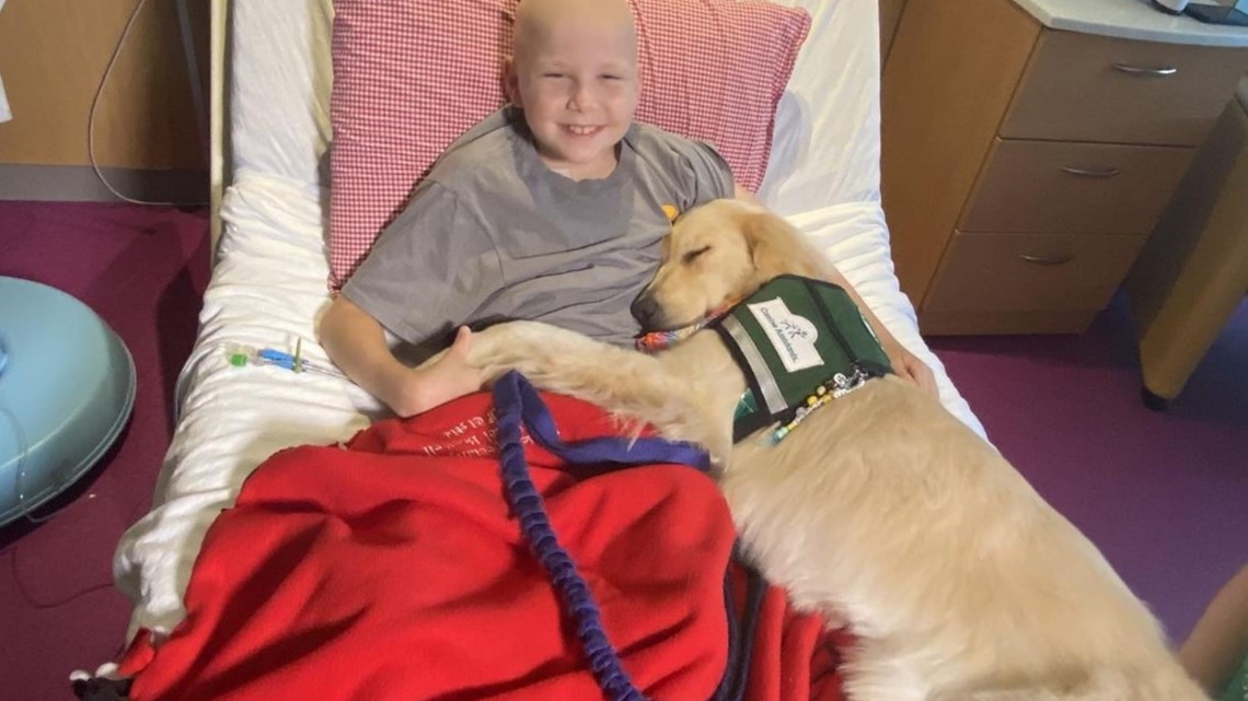 Children's Atlanta emotional support golden retriever Blanche - Vimarsana News