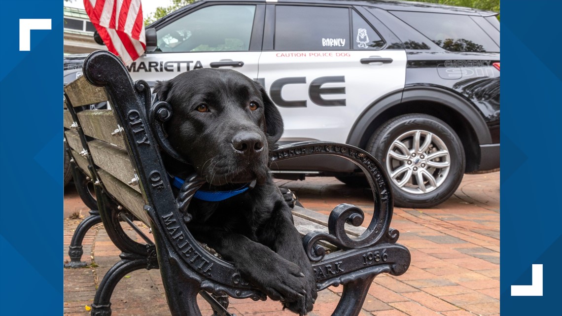 Marietta Police K-9 Barney helps woman mental health crisis | wfmynews2.com