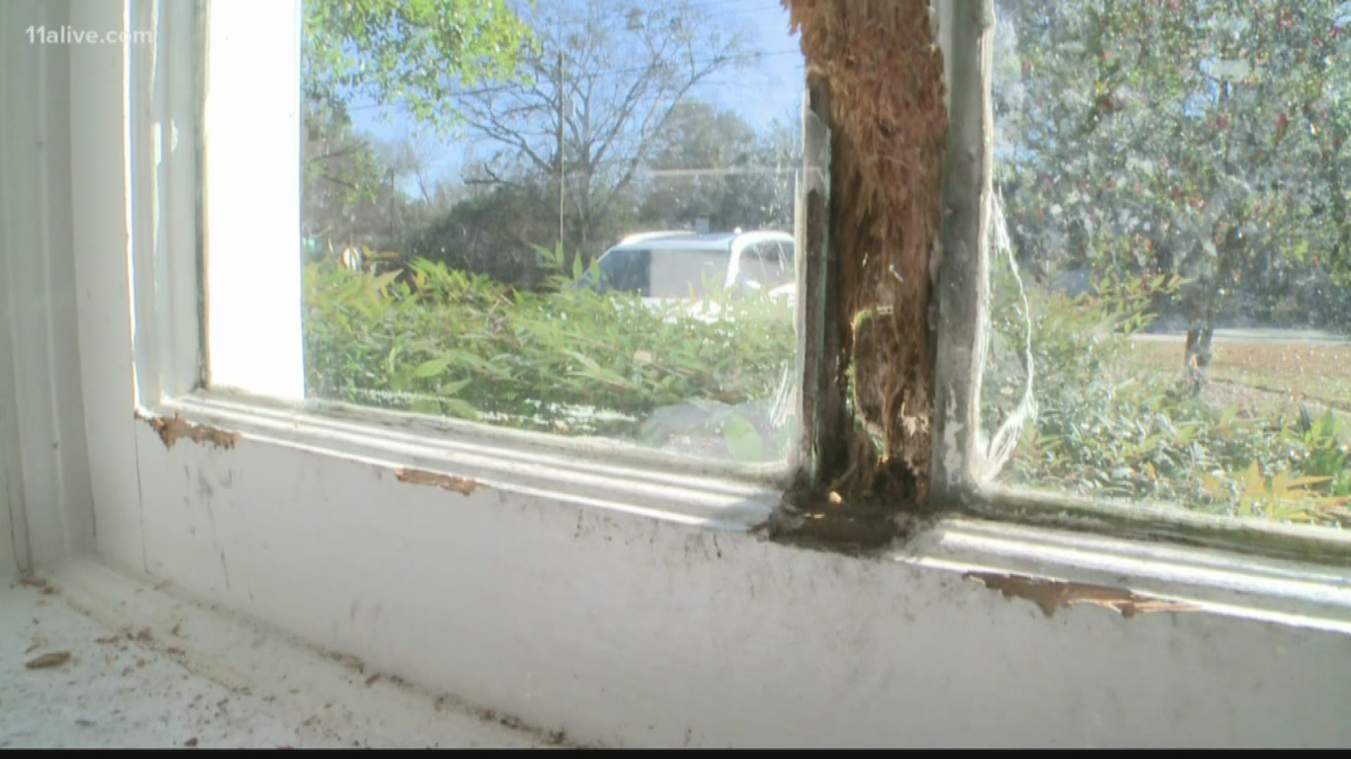 The family says they left for a week for Christmas, and while they were gone a squirrel got inside their home and tore things a part.