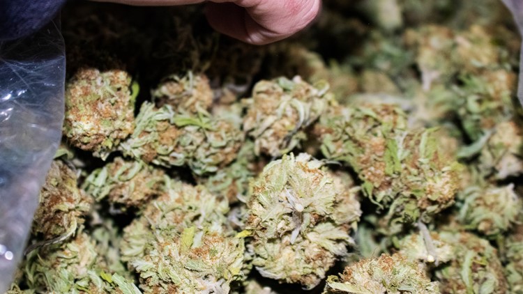 Half ton of marijuana found in Michigan on truck from Canada ...